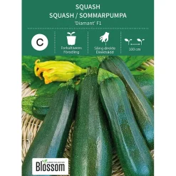 Frø squash