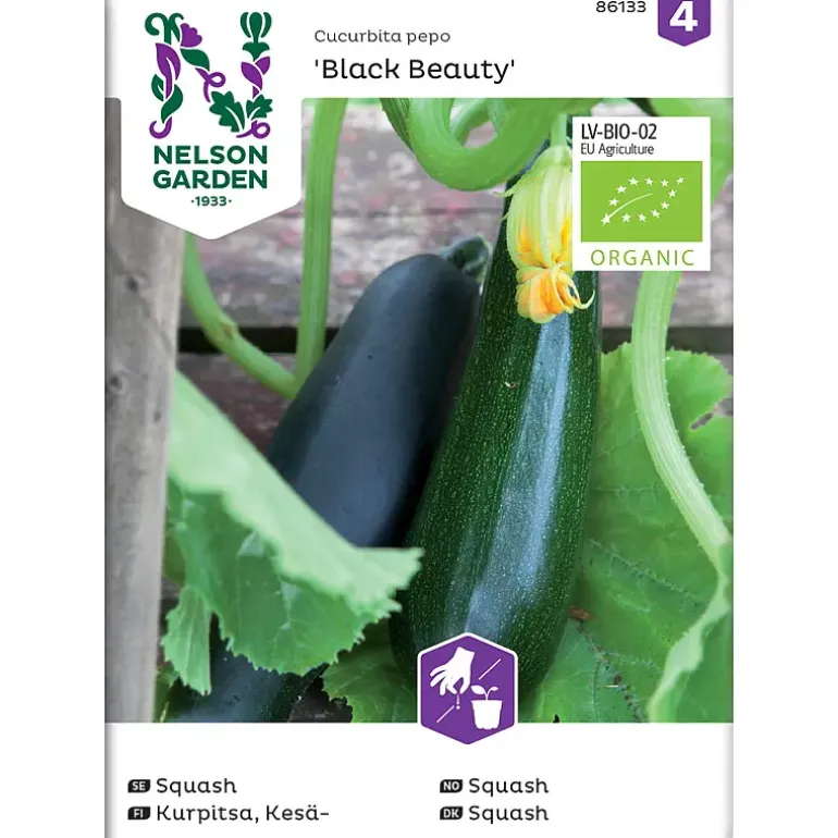 Frø squash