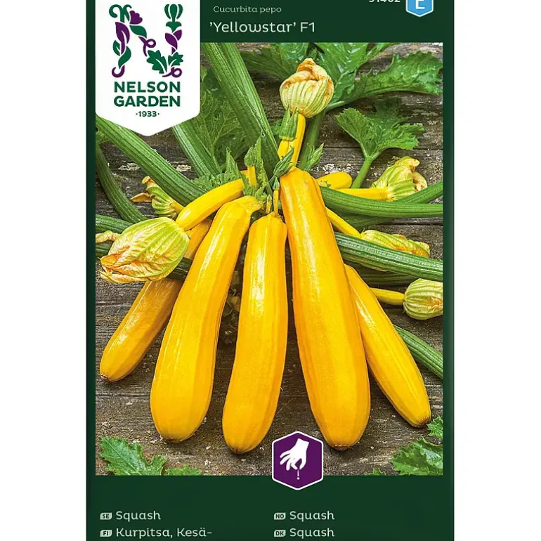 Frø squash