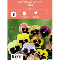 Frø stemorsblomst