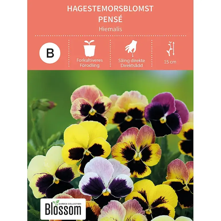 Frø stemorsblomst