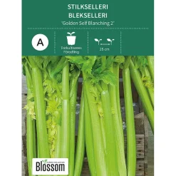 Frø stilkselleri
