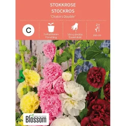 Frø stokkrose