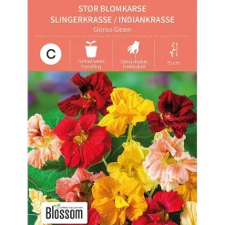 Frø stor blomkarse