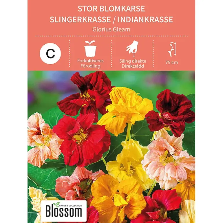 Frø stor blomkarse