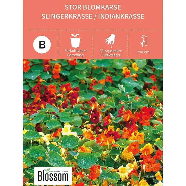 Frø stor blomkarse