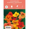 Frø stor blomkarse
