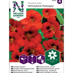 Frø stor blomkarse