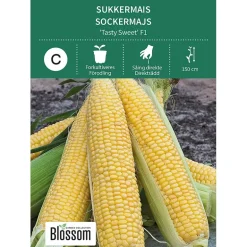 Frø sukkermais