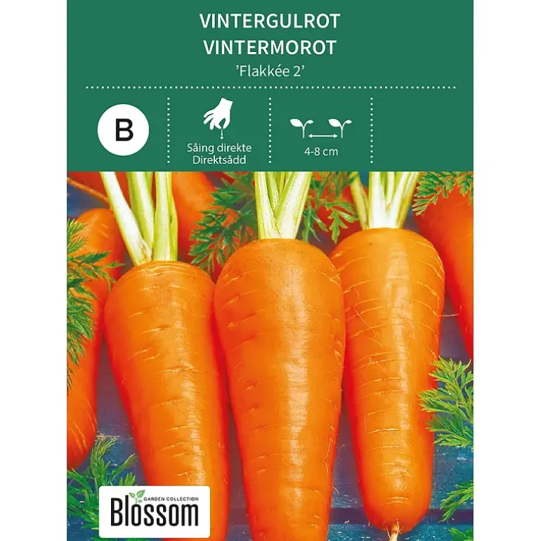 Frø vintergulrot