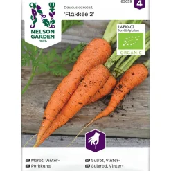 Frø vintergulrot