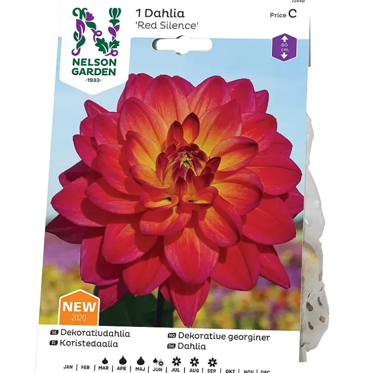 Georgine