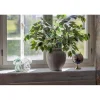 Glasslampe
