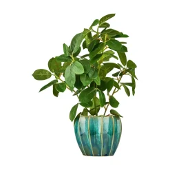 Grønnplante