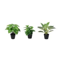 Grønnplante