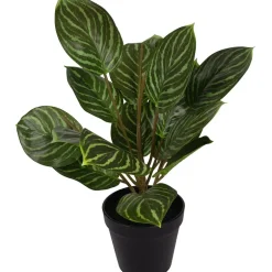 Grønnplante