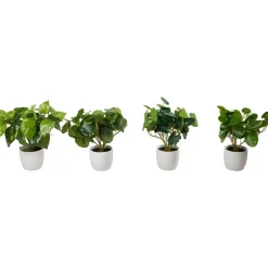 Grønnplante