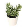 Grønnplante