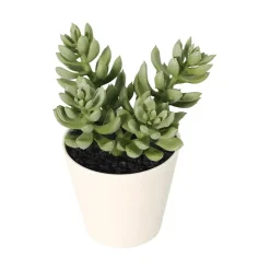 Grønnplante