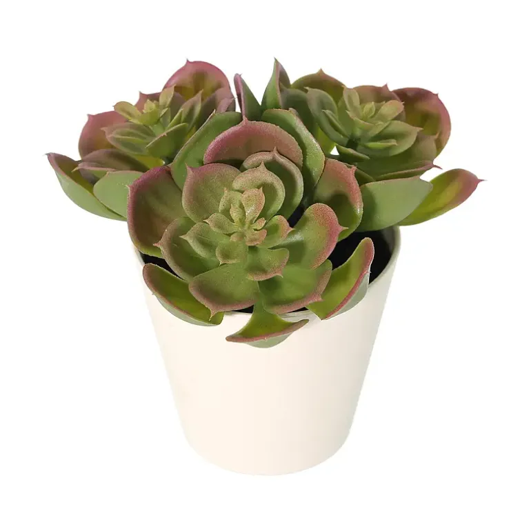 Grønnplante