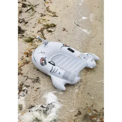 Hai kickboard