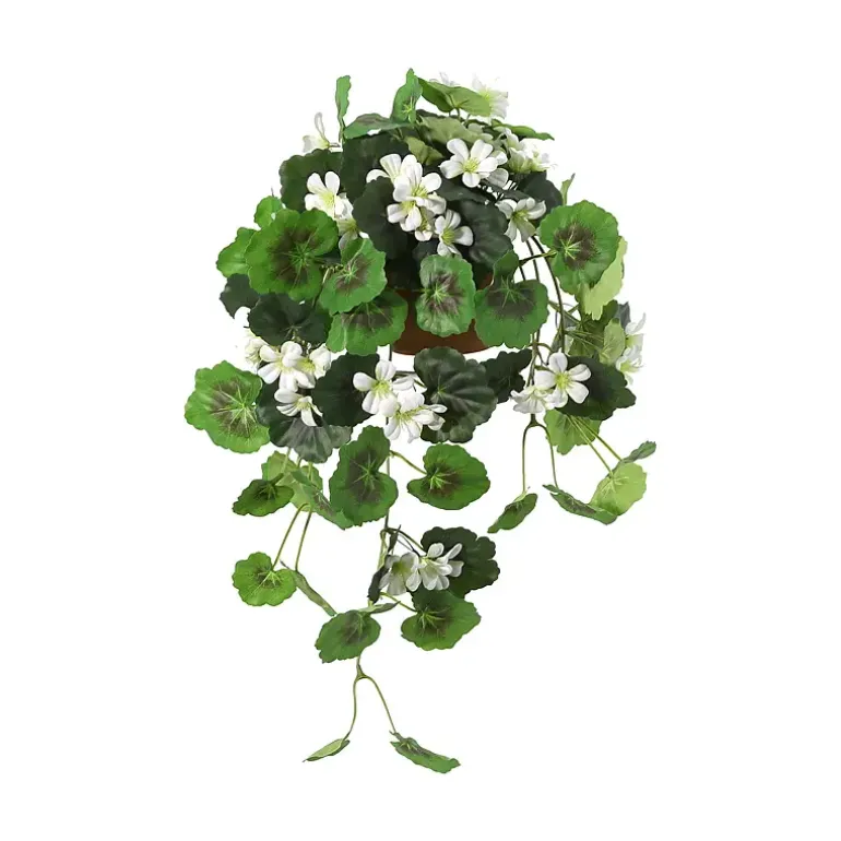 Hengepelargonia