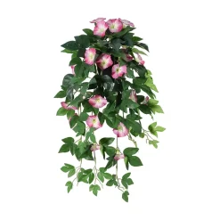 Hengepetunia