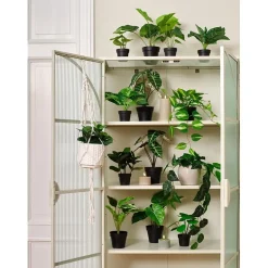 Hengeplante