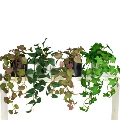 Hengeplante