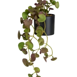 Hengeplante