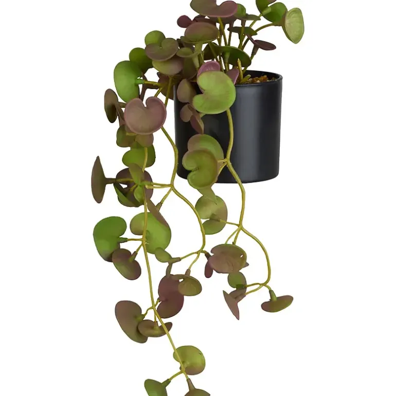 Hengeplante
