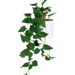 Hengeplante
