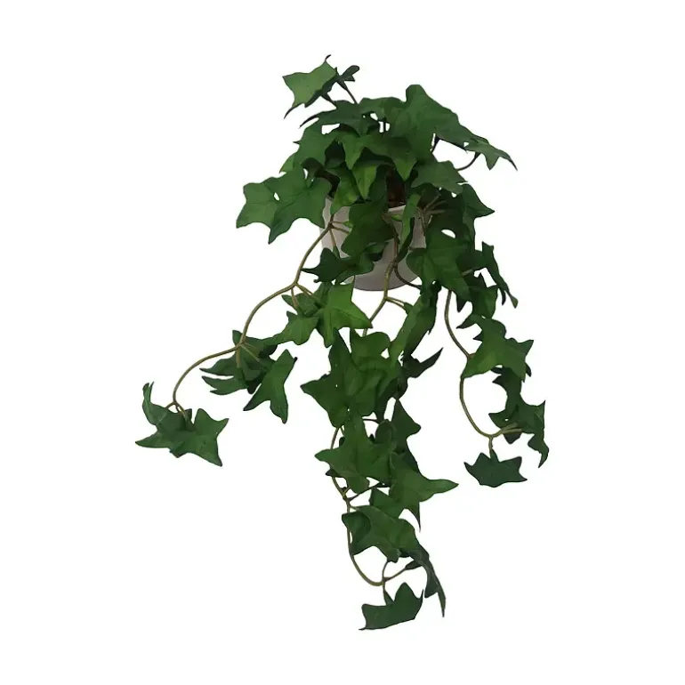Hengeplante