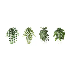 Hengeplante