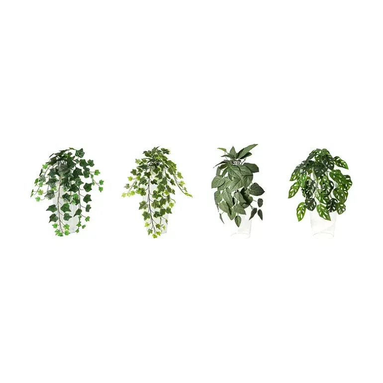 Hengeplante
