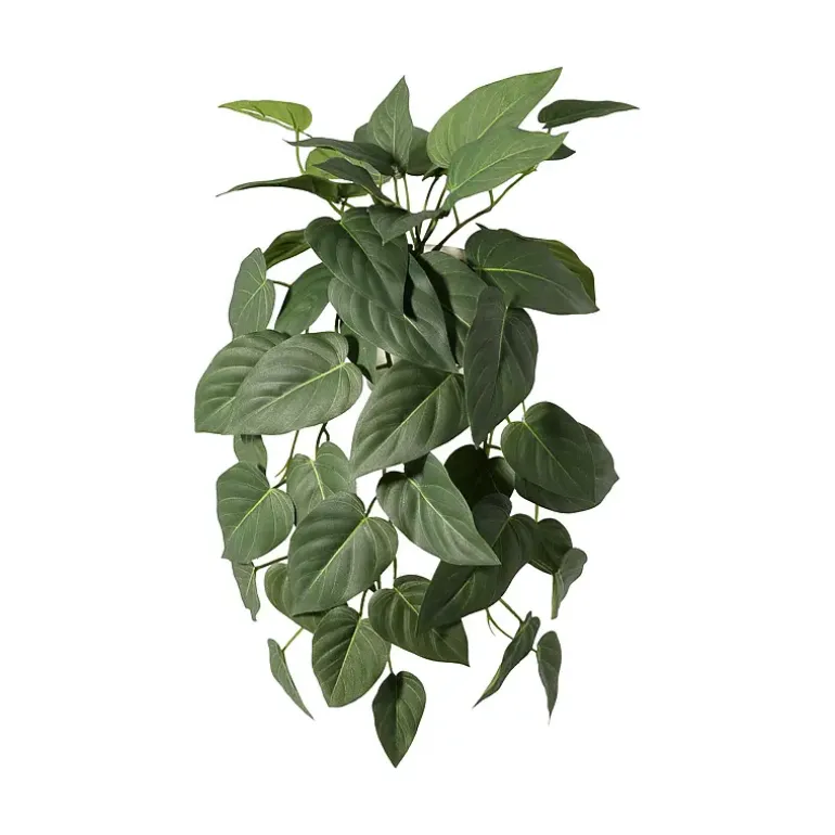 Hengeplante