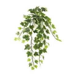 Hengeplante
