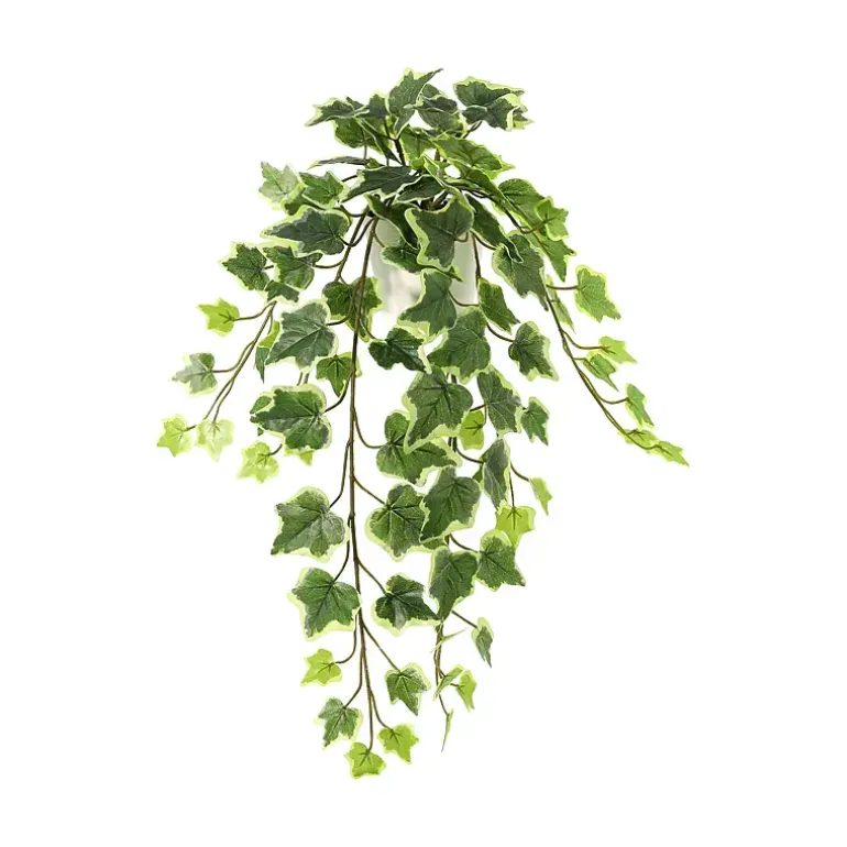 Hengeplante