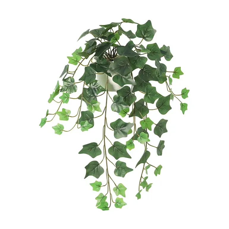 Hengeplante