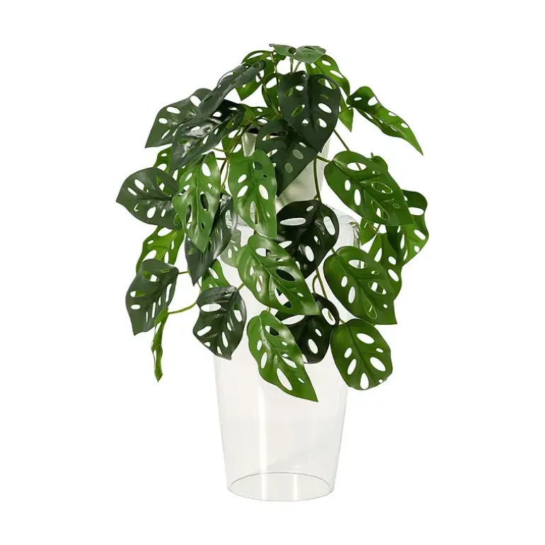 Hengeplante