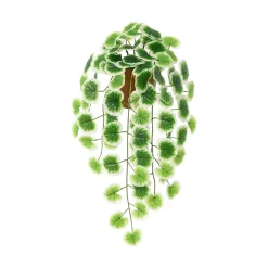 Hengeplante