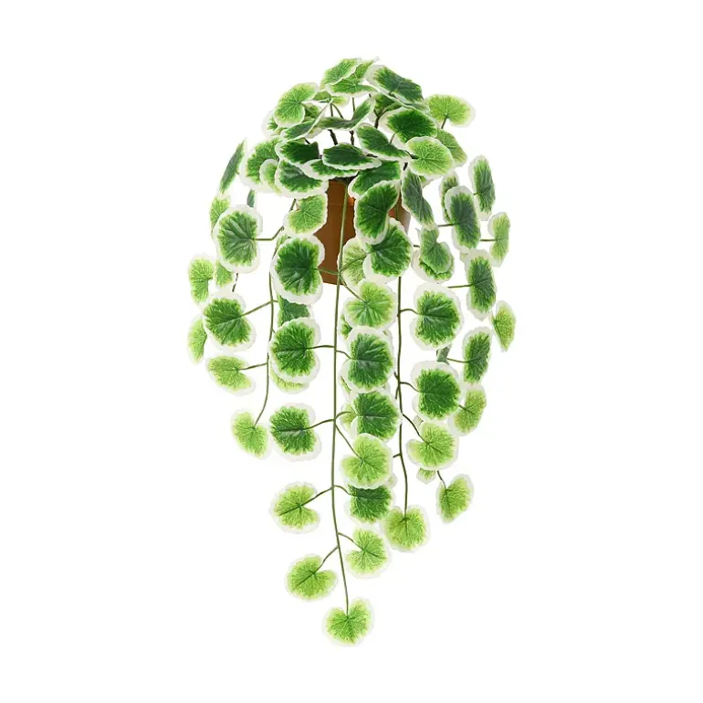Hengeplante