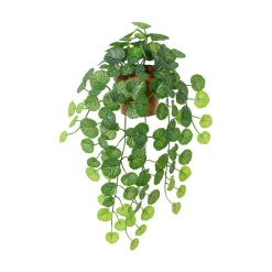 Hengeplante
