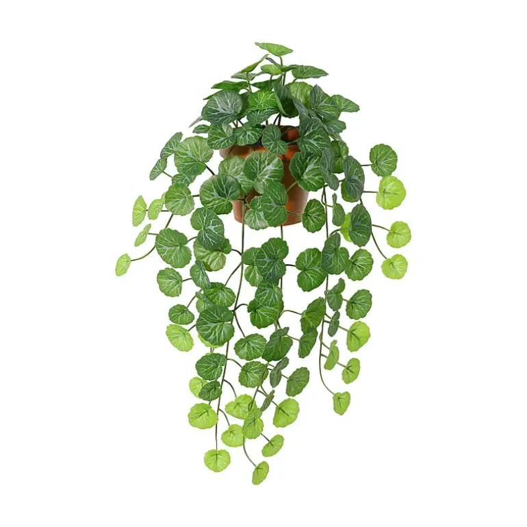 Hengeplante