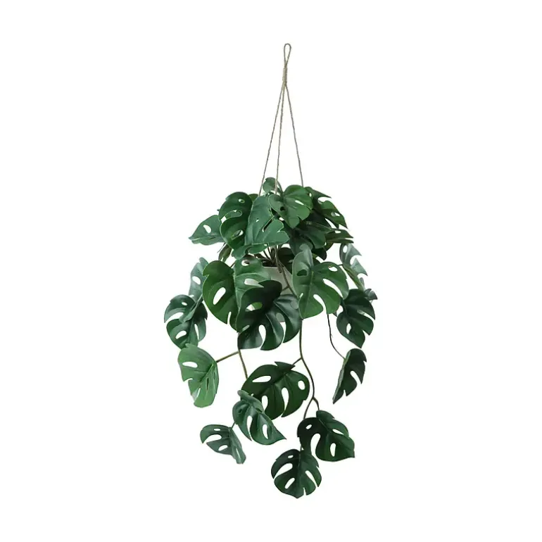 Hengeplante