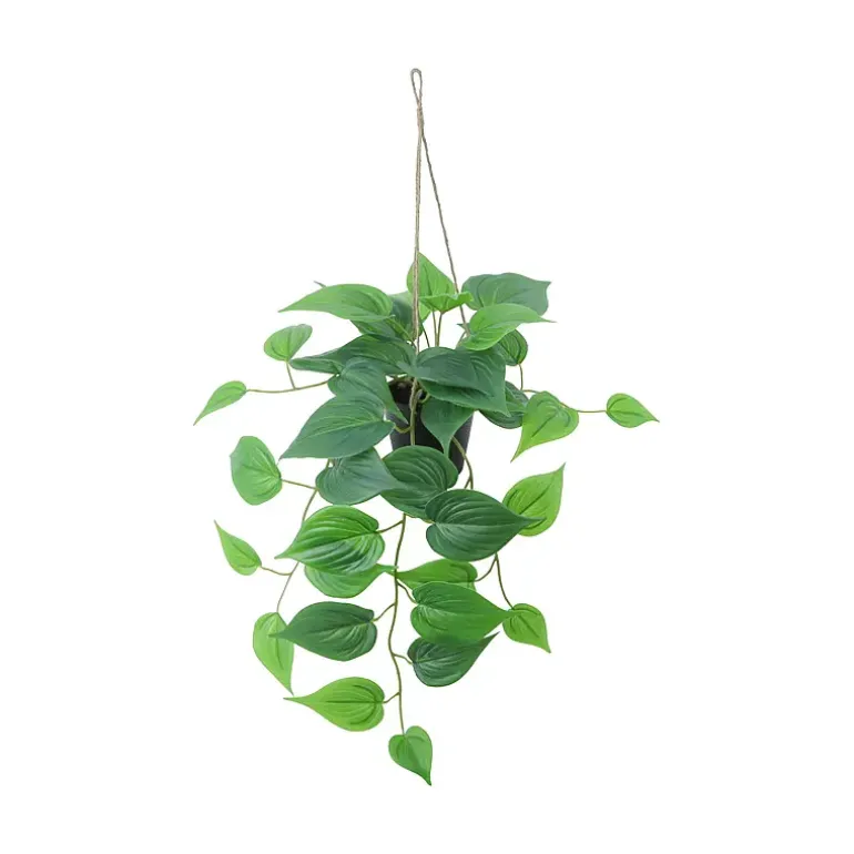 Hengeplante