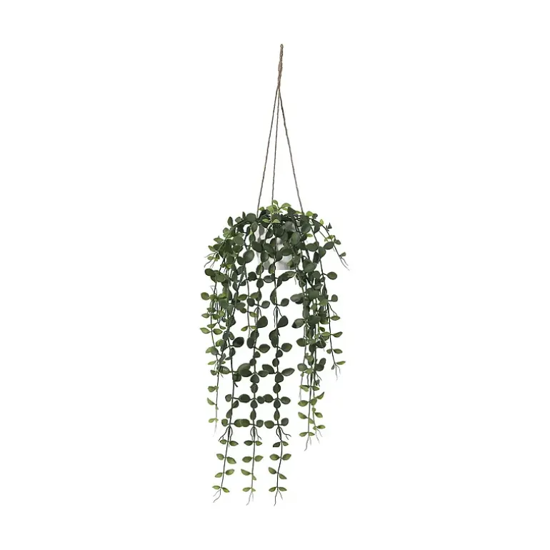 Hengeplante
