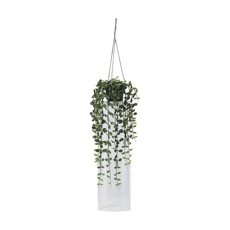 Hengeplante