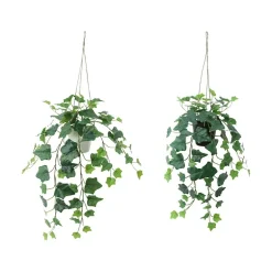 Hengeplante