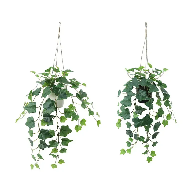 Hengeplante